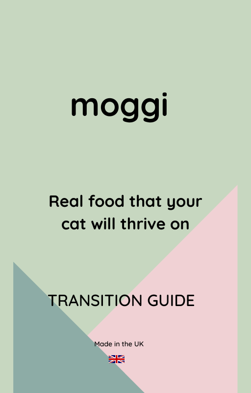 Transition Guide